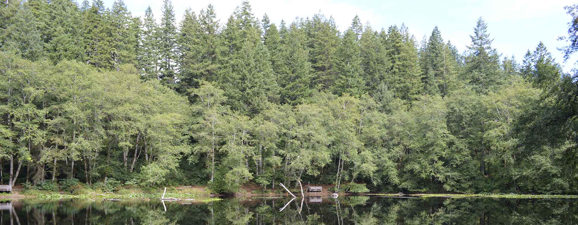 hebo oregon 1