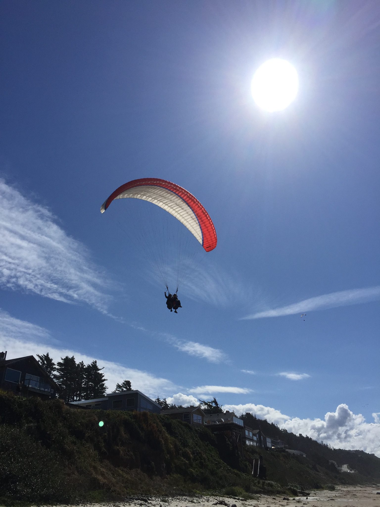 Coming in for a landing on the beach