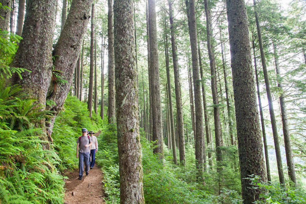 Neahkahnie Trail