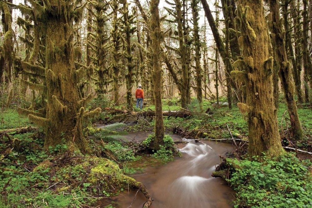 Munson Creek
