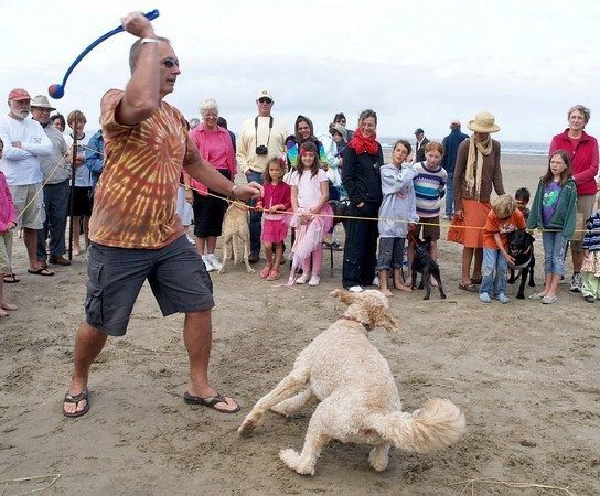 Muttzanita ball toss on beach