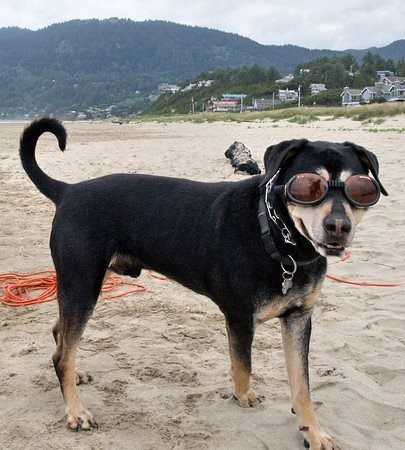 Muttzanita