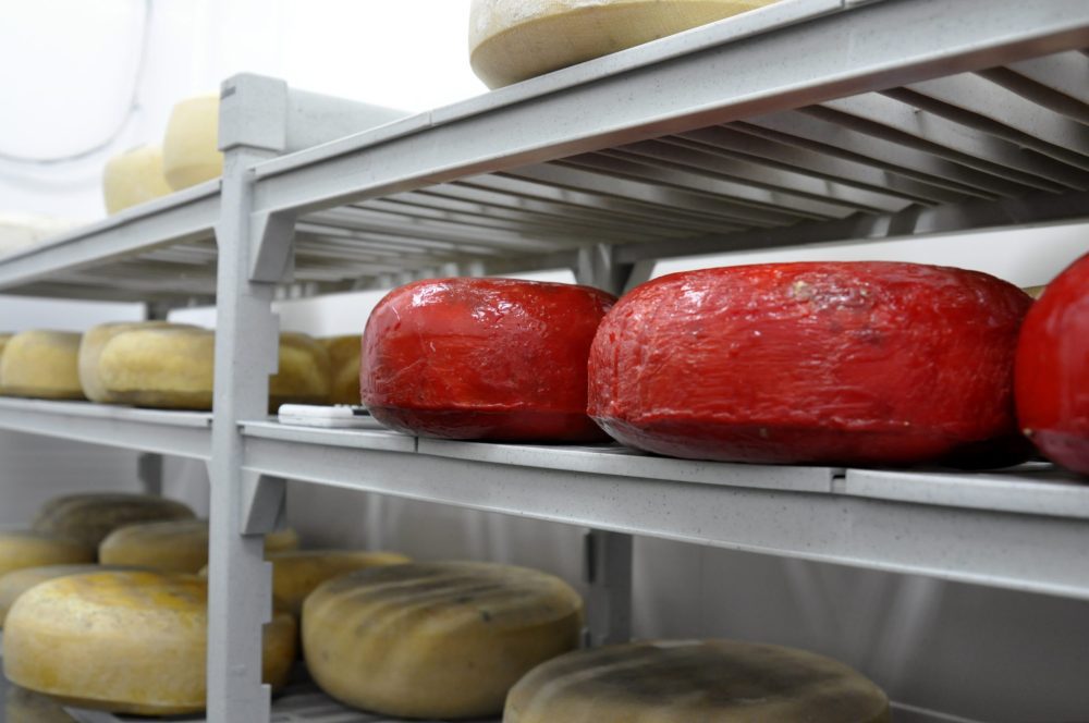 3 Nestucca Bay cheeses