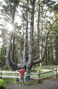 Hike on the Tillamook Coast
