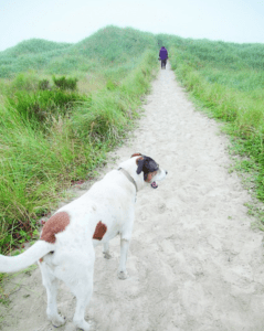 Nature & Wildlife on the Tillamook Coast