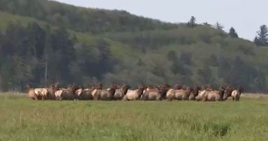grants getaways nehalem water trail 2021 05