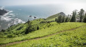 Cascade Head