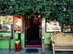 Cloud Leaf Bookstore