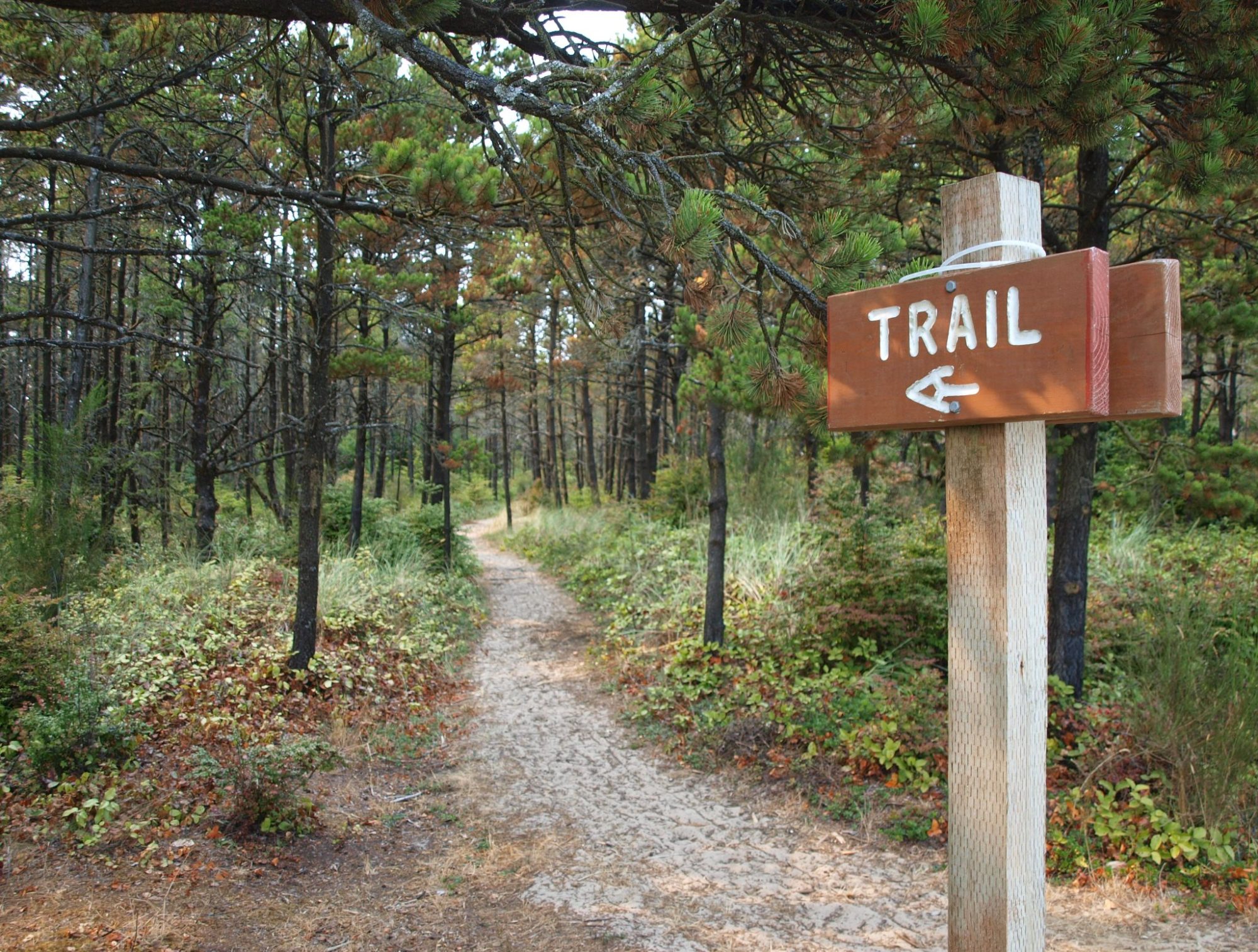 trail