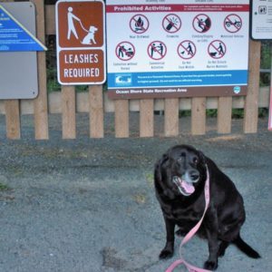 2016 trailsandtails danhaag 02