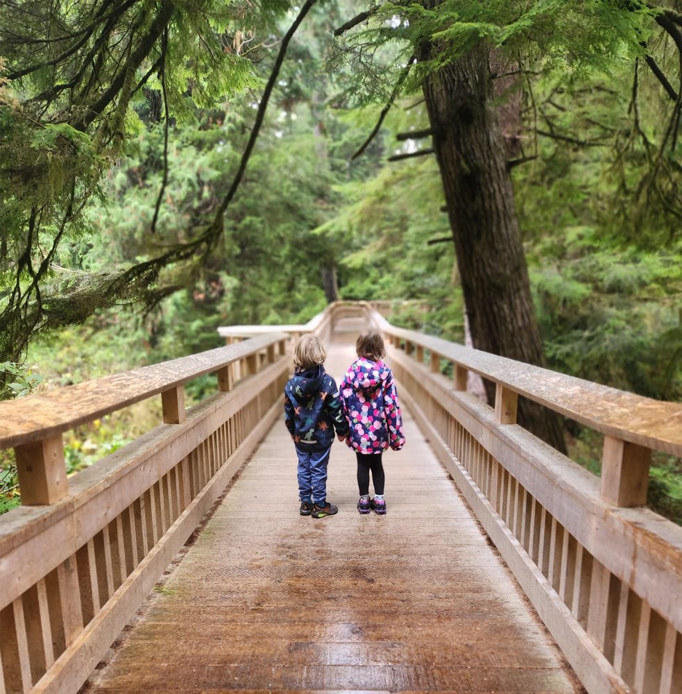 Fall season on the Tillamook Coast