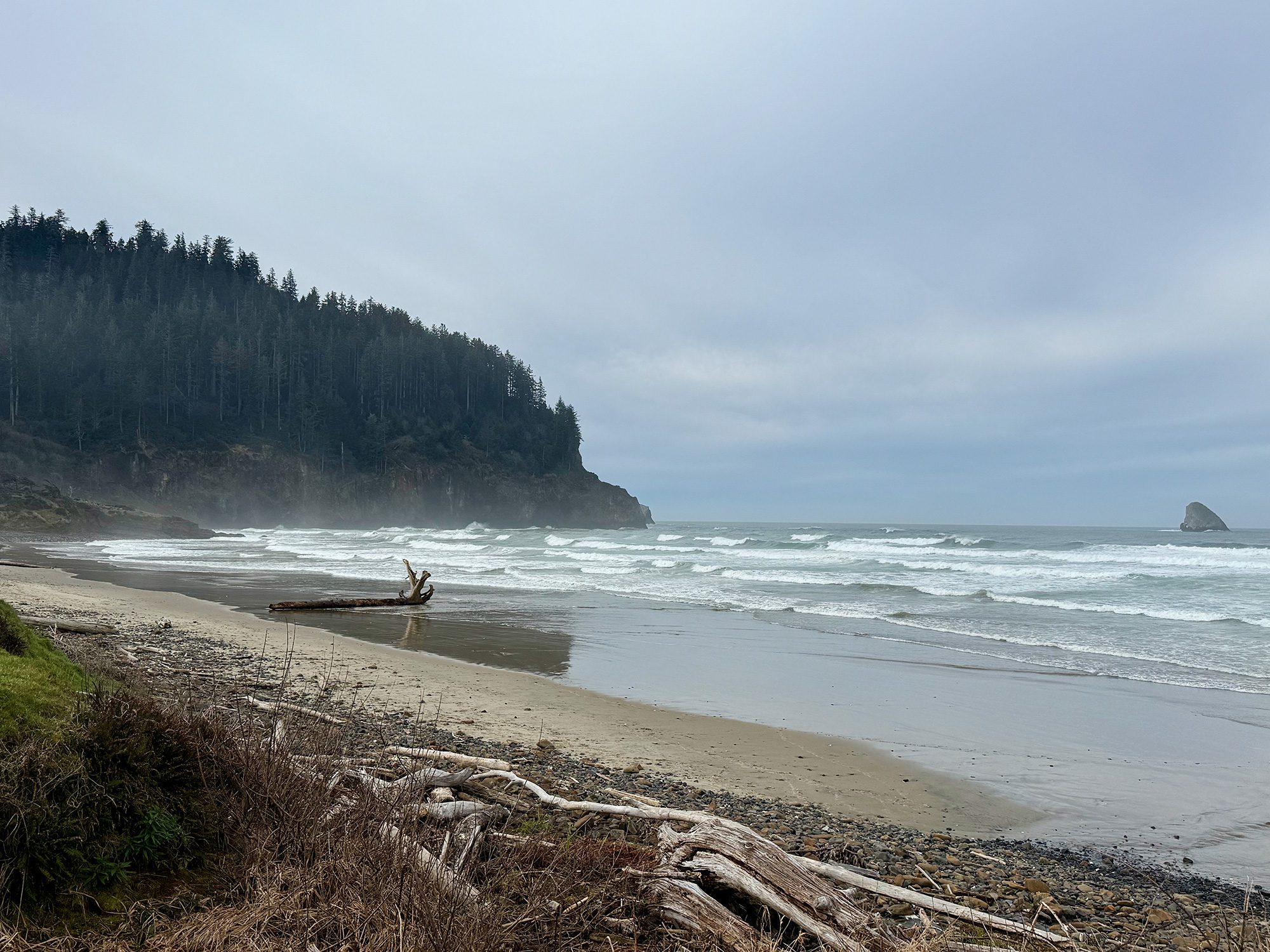 beach ocean seastack overcast sky forest Cape Meares Beach Tillamook Coast Oregon