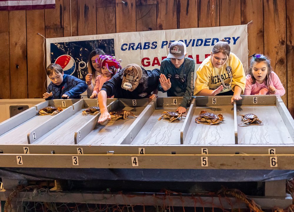 Garibaldi Crab Races children dungeness crab racing