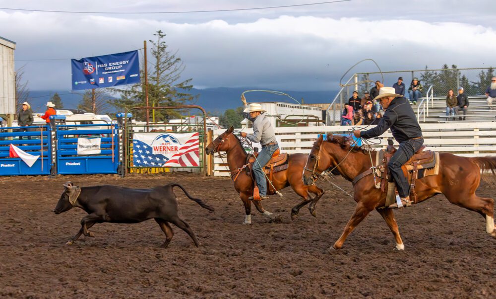 Tillamook Rodeo cow lasso horse riders By Greg Kozawa
