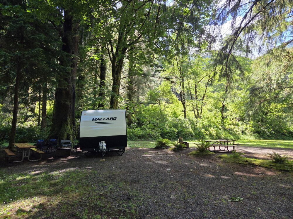 RV Site Kilchis Campground forest river