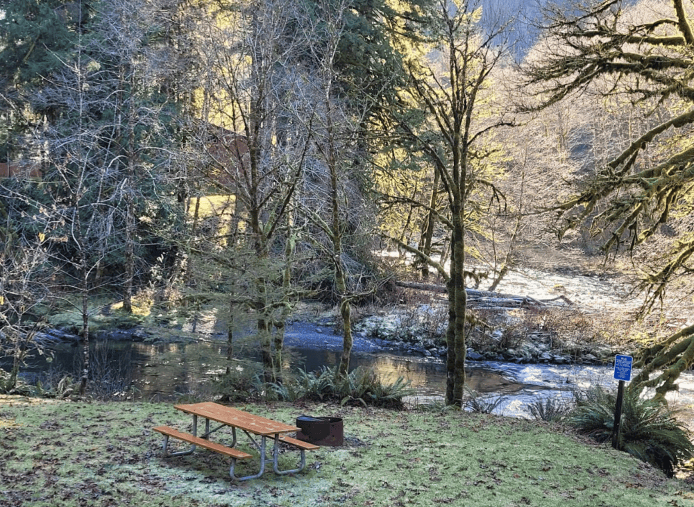 Trask River Camping Tent Site